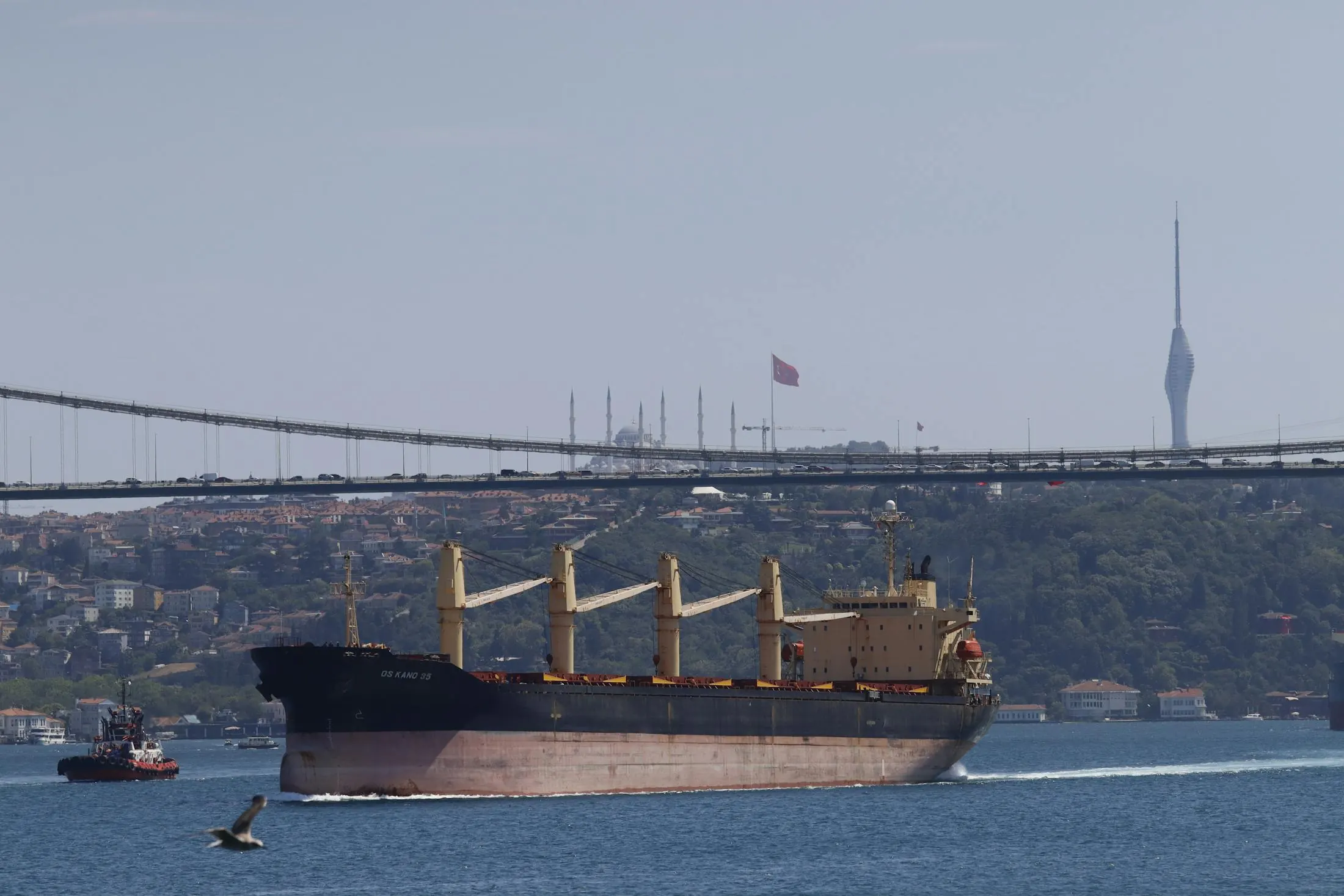 Dry cargo vessel underway beneath a suspension bridge